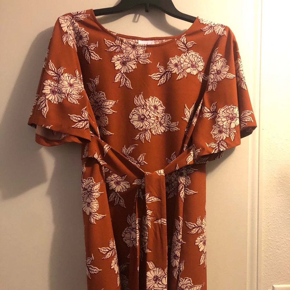 Maternity shirt dress